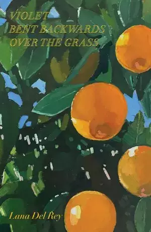 Violet Bent Backwards Over the Grass - Książki
