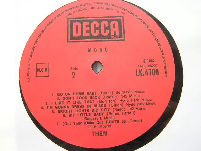 The "Angry" Young Them!, Winyl - Muzyka