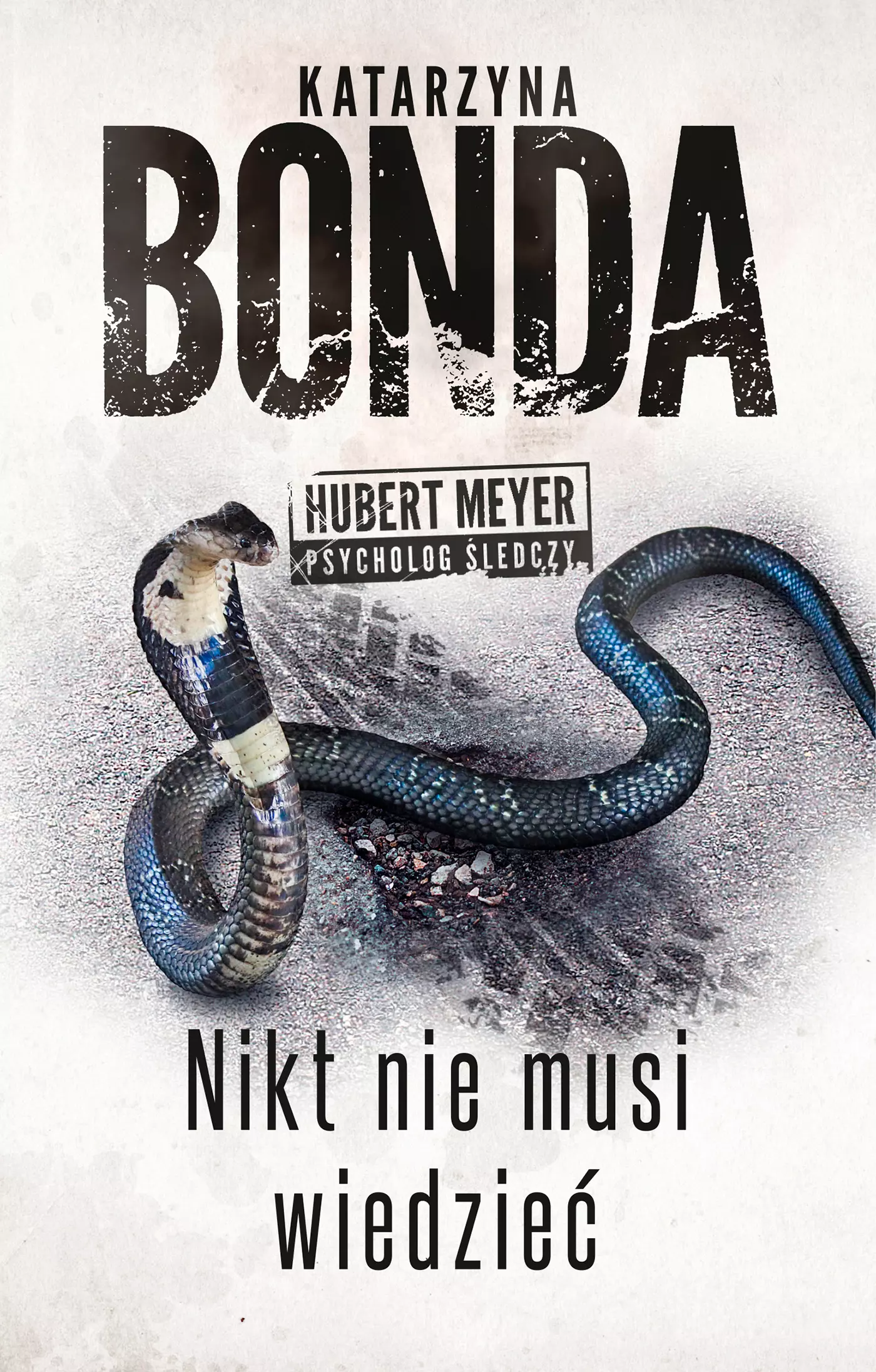 Hubert Meyer. Tom 4. Nikt nie musi wiedzieć - Książki