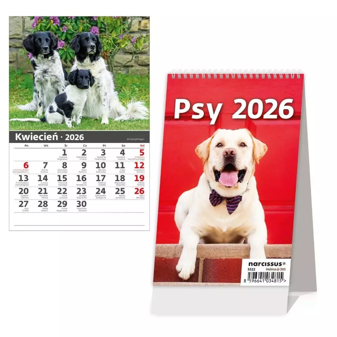 Kalendarz 2026 biurkowy pionowy miesięczny HELMA - Książki