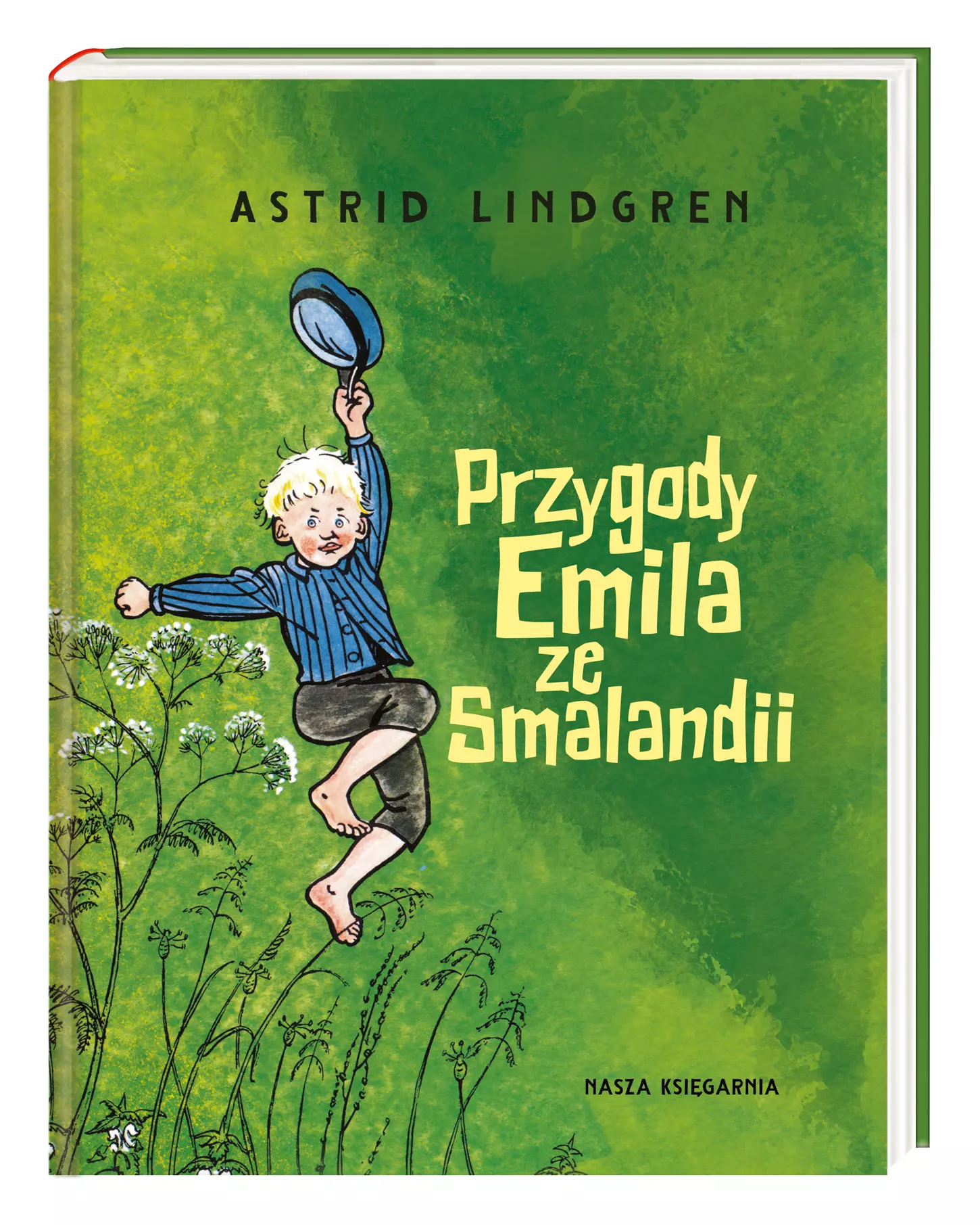 Przygody Emila ze Smalandii - Książki