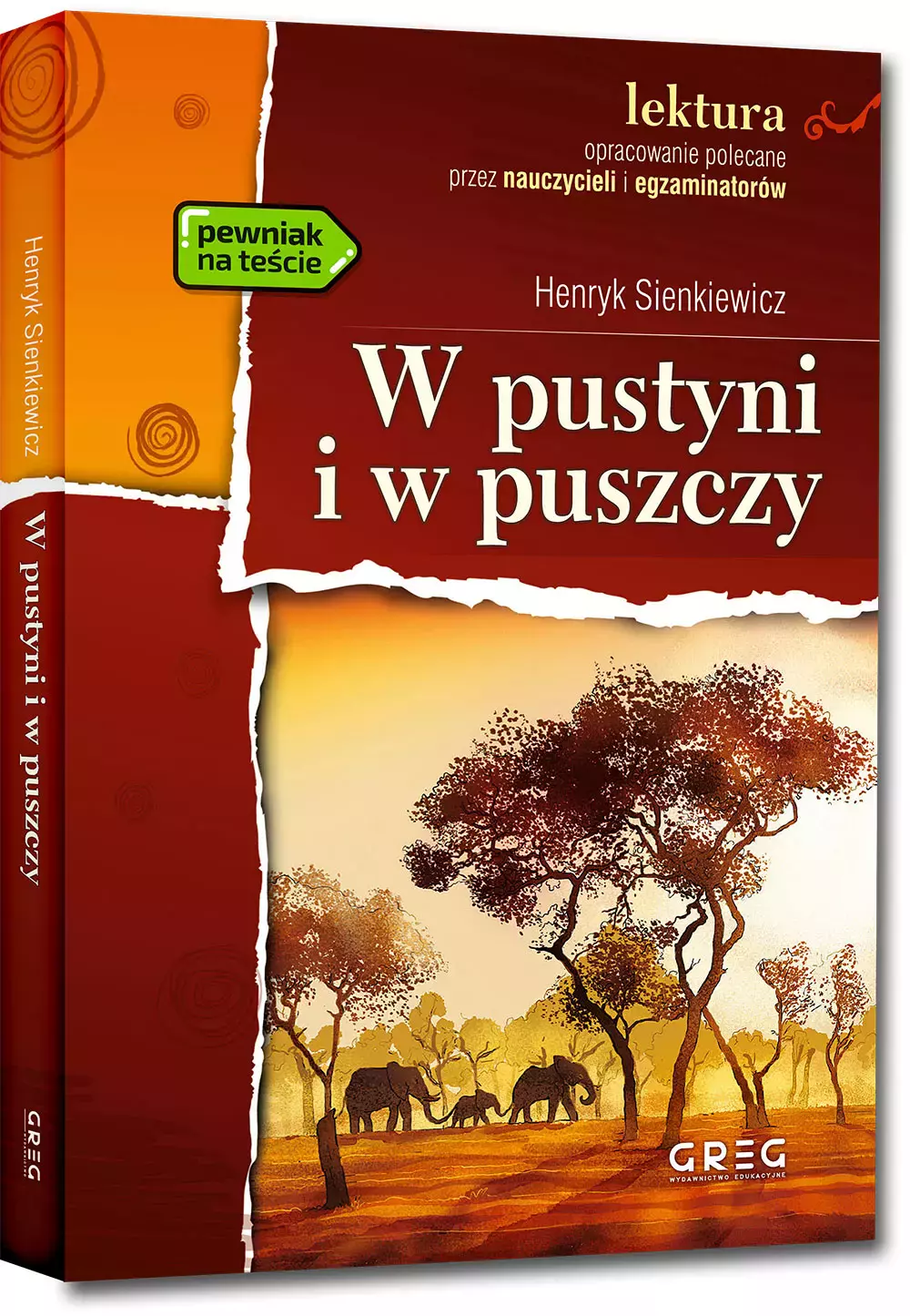 W pustyni i w puszczy (wydanie z opracowaniem i streszczeniem) - Książki