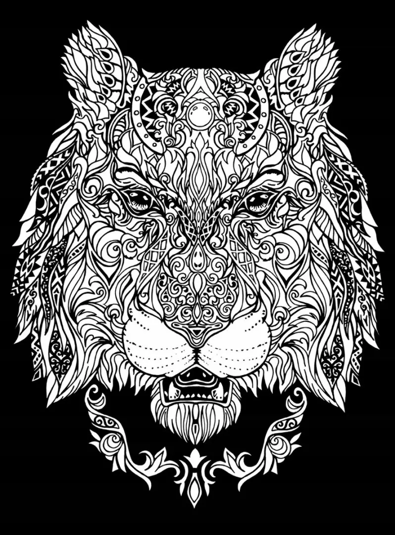 Kolorowanka welwetowa ColorVelvet Lwica 47x35 cm - Książki