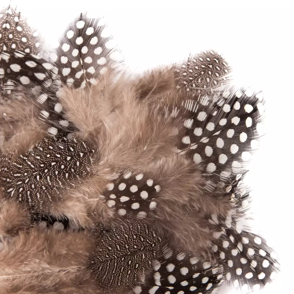 Piórka przepiórcze 5-12cm 5g - Papiernicze i szkolne