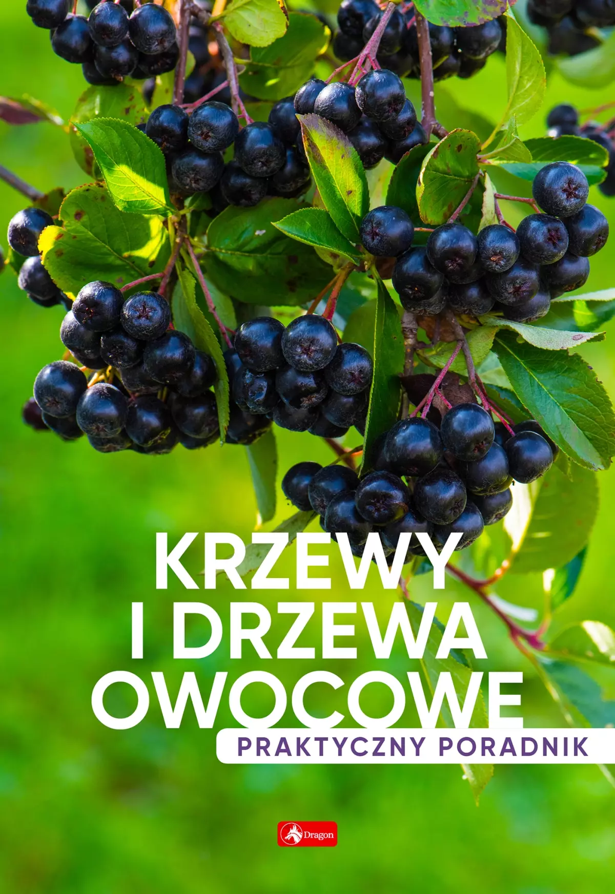 Krzewy i drzewa owocowe. Poradnik praktyczny - Książki