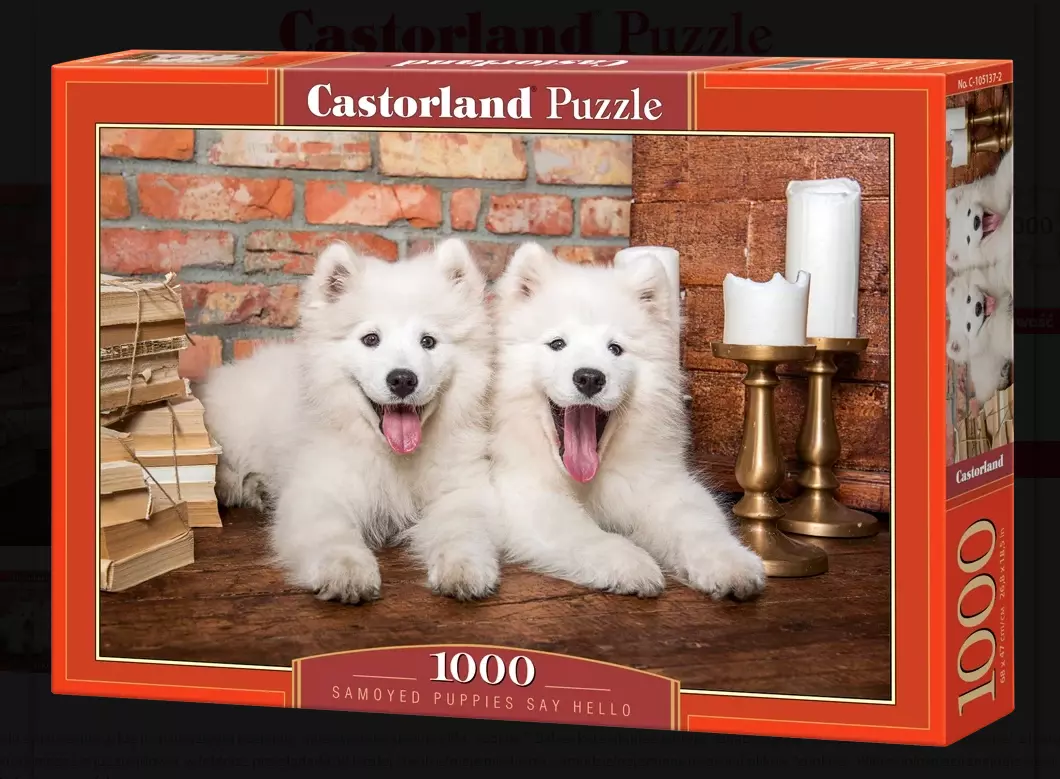 Samoyed Puppies Say Hello