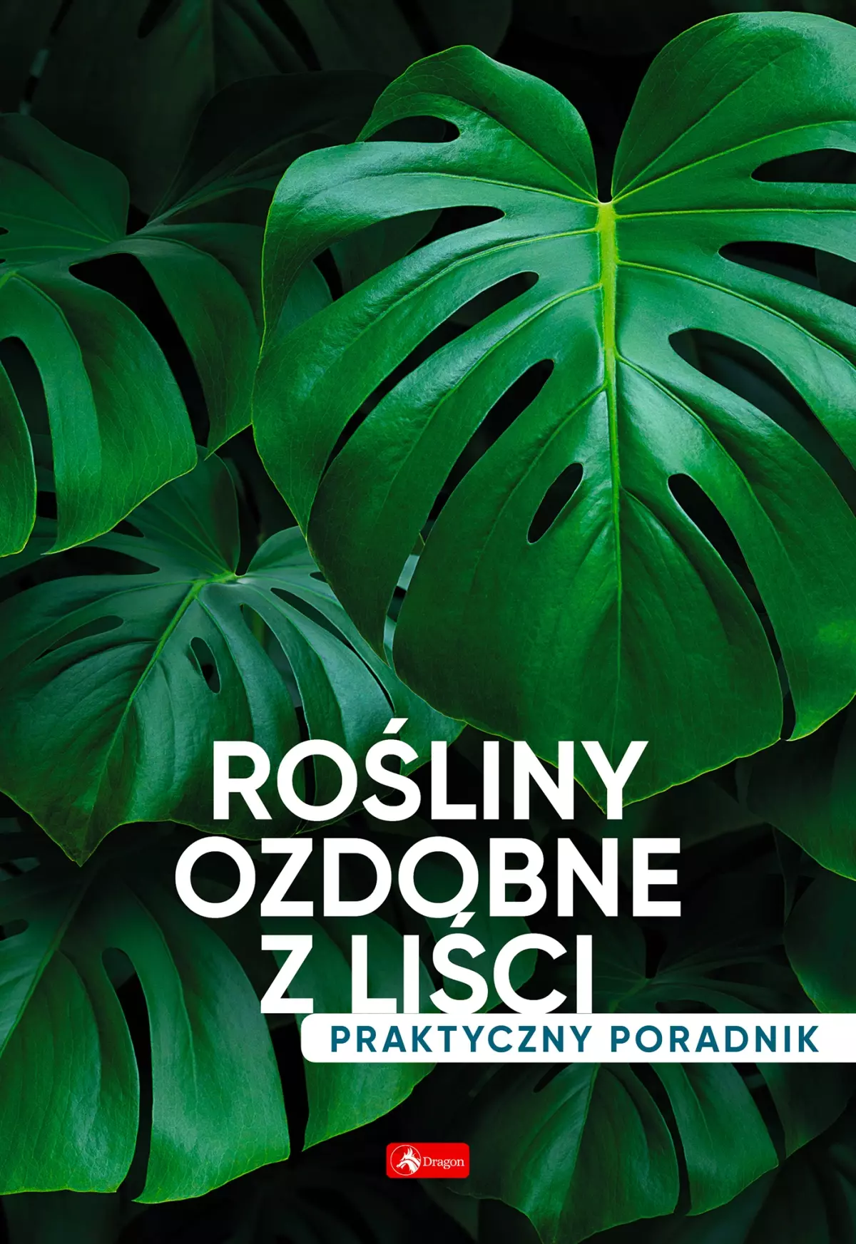 Rośliny ozdobne z liści. Poradnik praktyczny - Książki