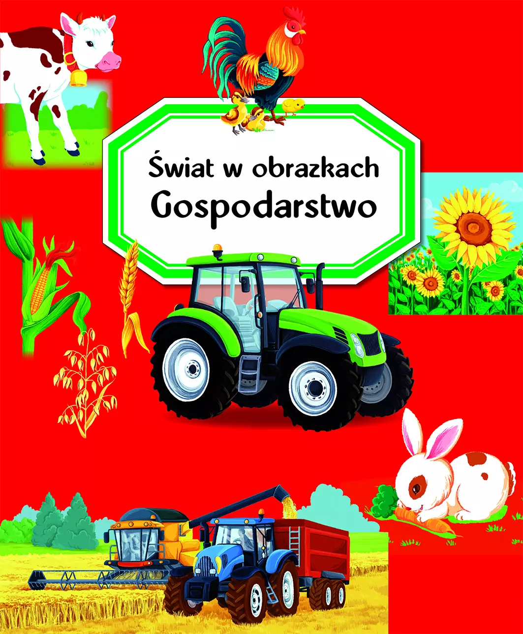Gospodarstwo. świat w obrazkach - Książki