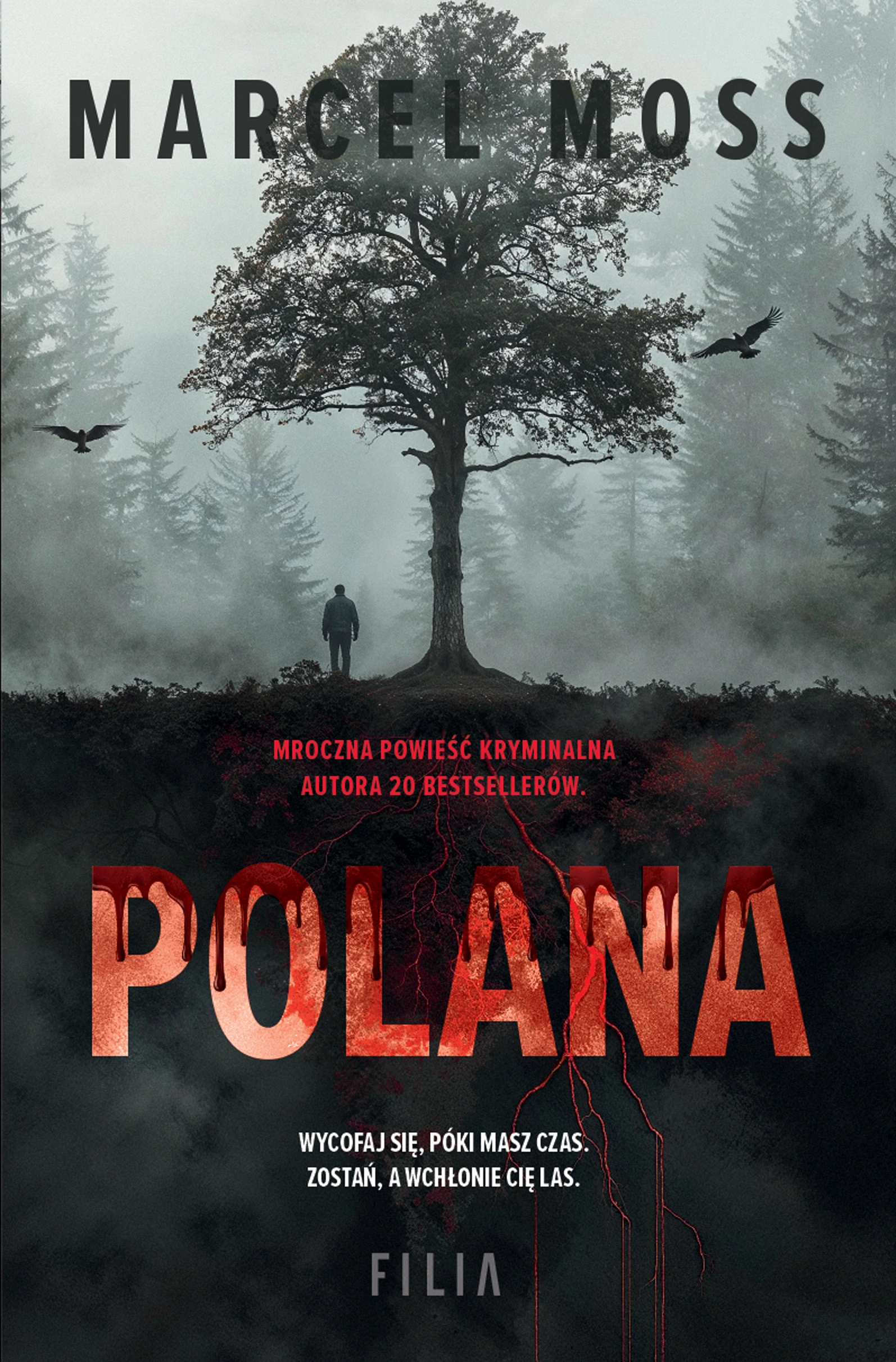 Polana - Książki