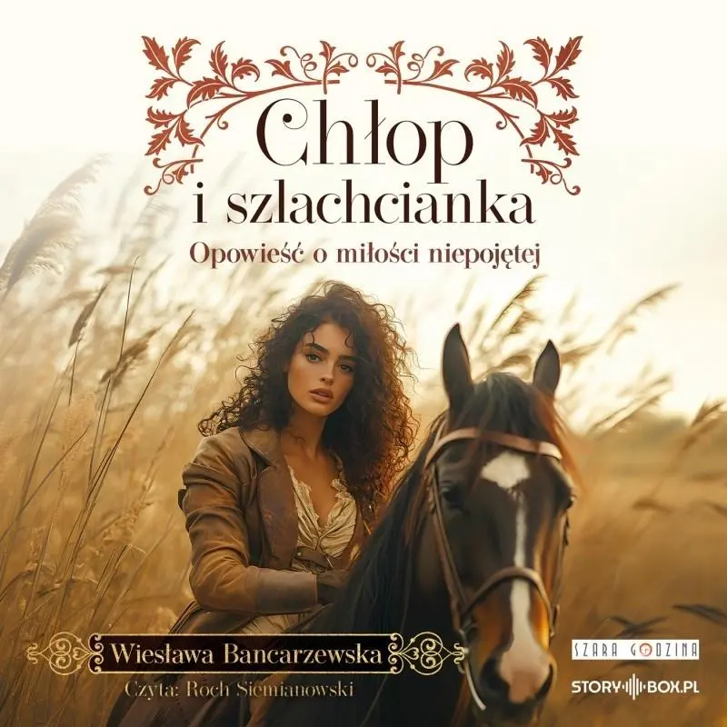 Chłop i szlachcianka audiobook - Audiobooki