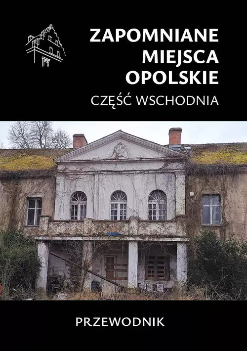 Zapomniane miejsca. Opolskie cz.wschodnia - Książki