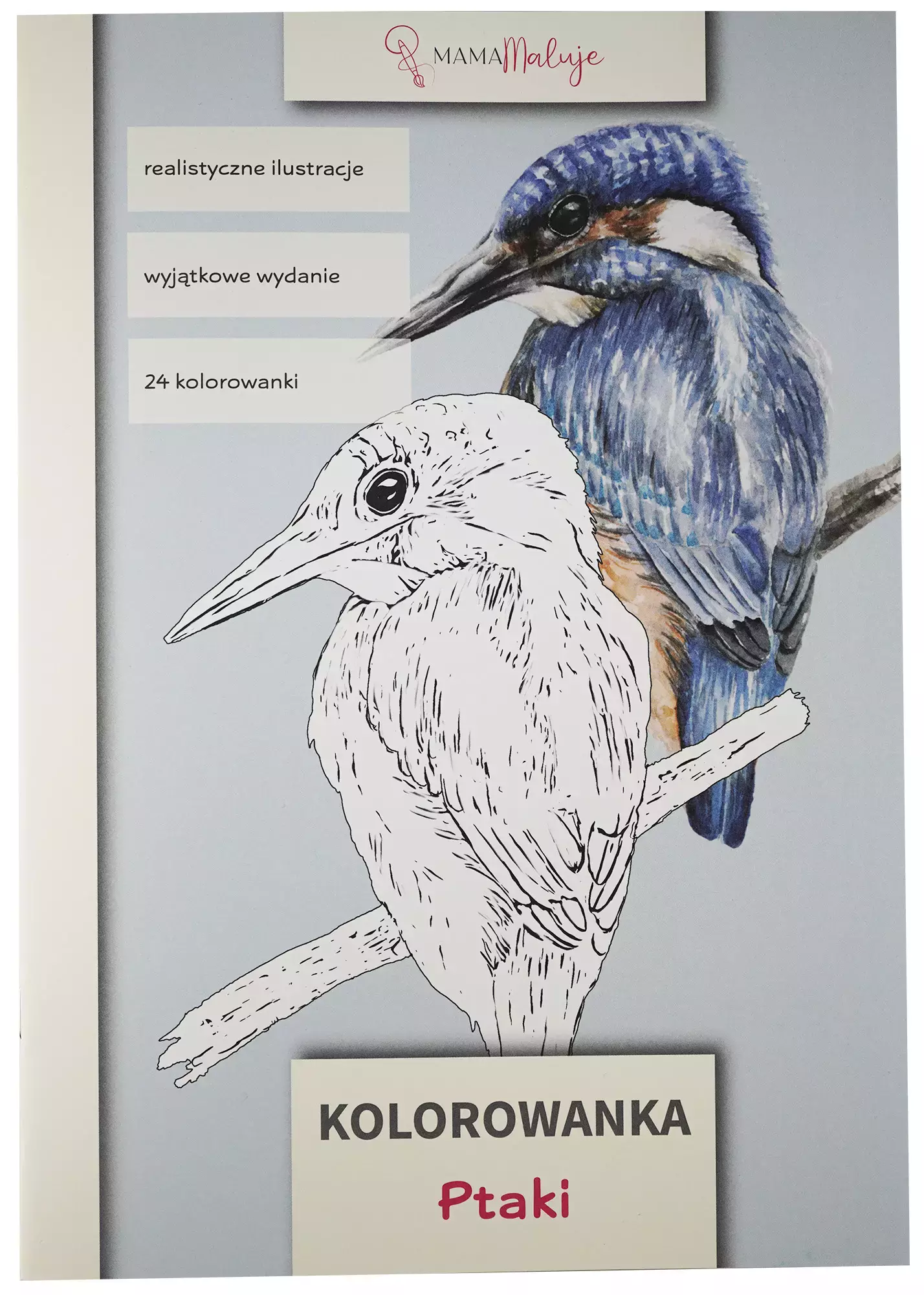 Kolorowanka Ptaki - Zabawki