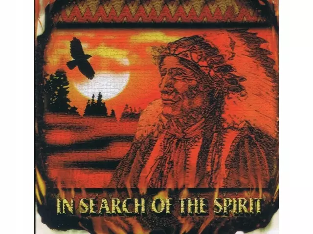 In Search Of The Spirit - Native American - Indianie, CD - Muzyka