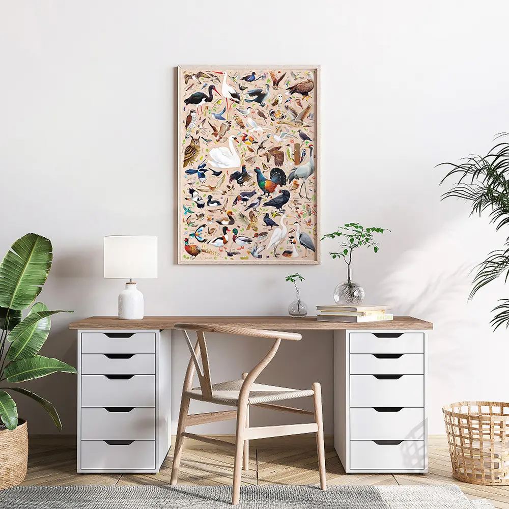 Puzzlove CzuCzu 1000 elementów. Ptaki Polski - Puzzle