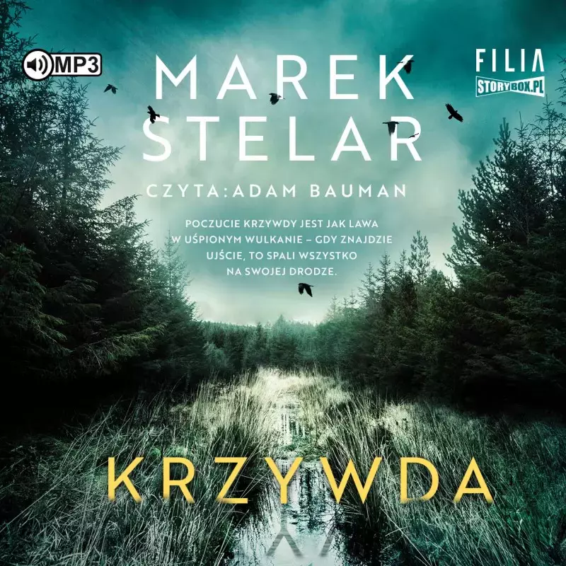 Krzywda. Audiobook - Audiobooki