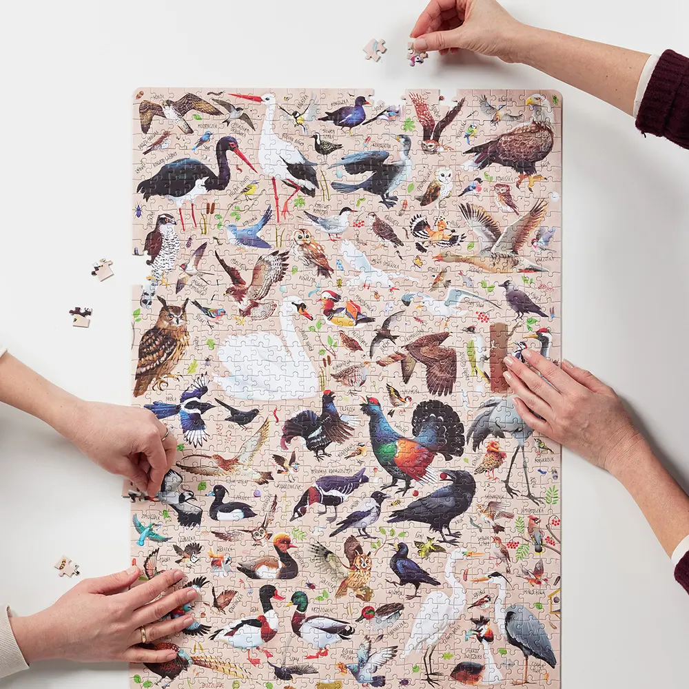 Puzzlove CzuCzu 1000 elementów. Ptaki Polski - Puzzle