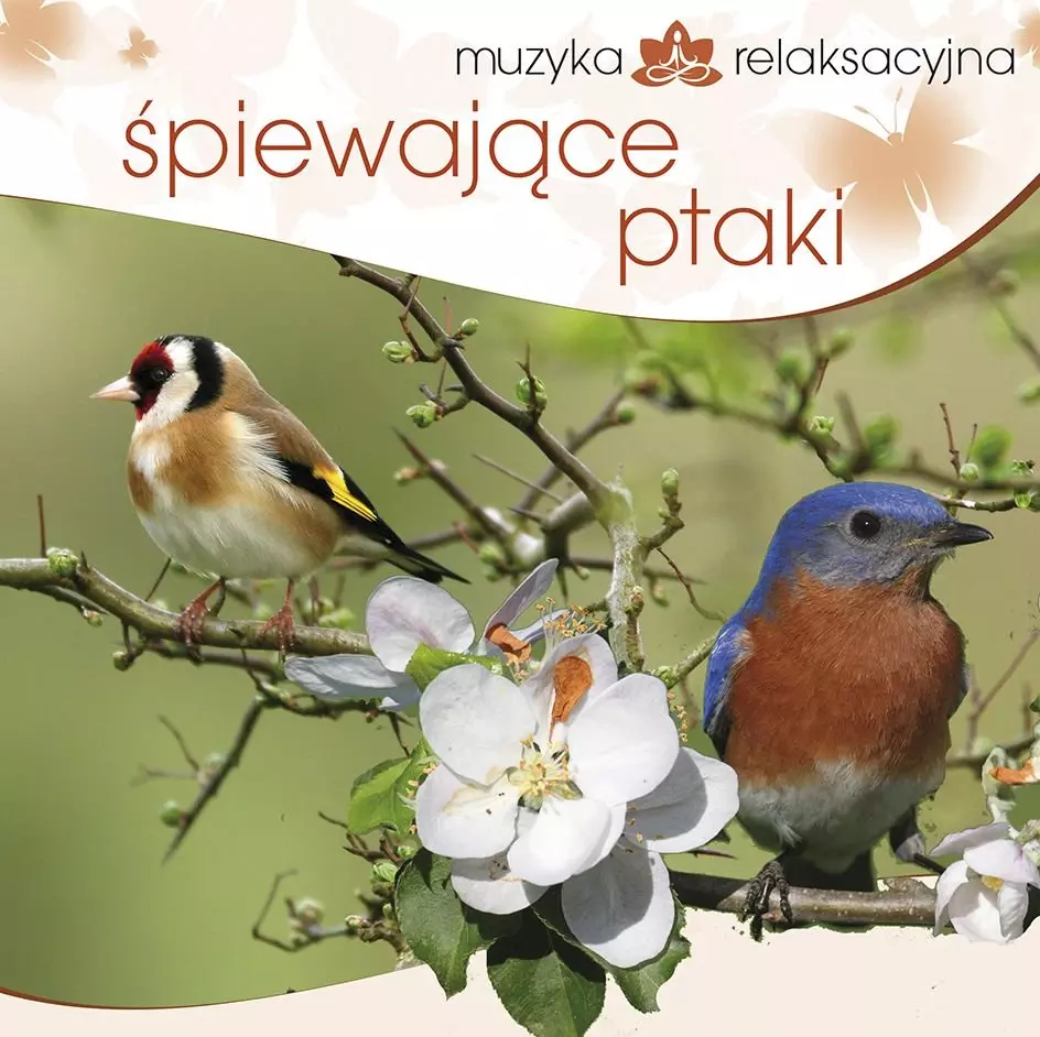 Muzyka relaksacyjna. Śpiewające ptaki, CD - Muzyka