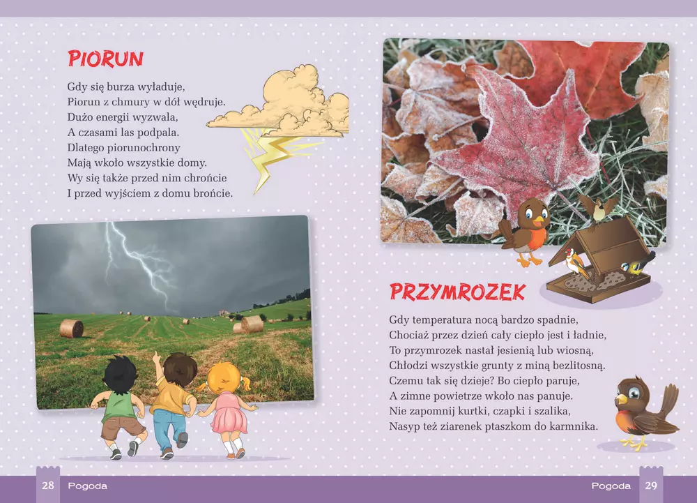 Co warto wiedzieć o przyrodzie - Książki