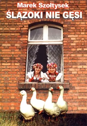 Ślązoki nie gęsi - Książki