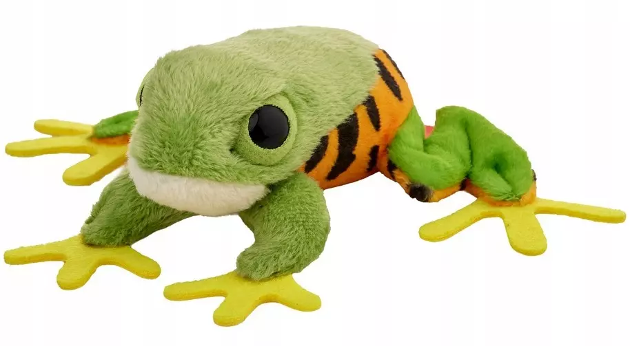 Żaba chwytnica moreleta 10cm