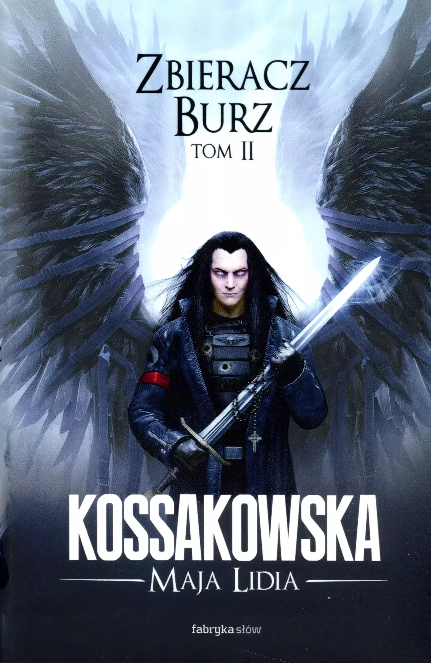 Cykl Anielski. Zbieracz Burz. Tom 2