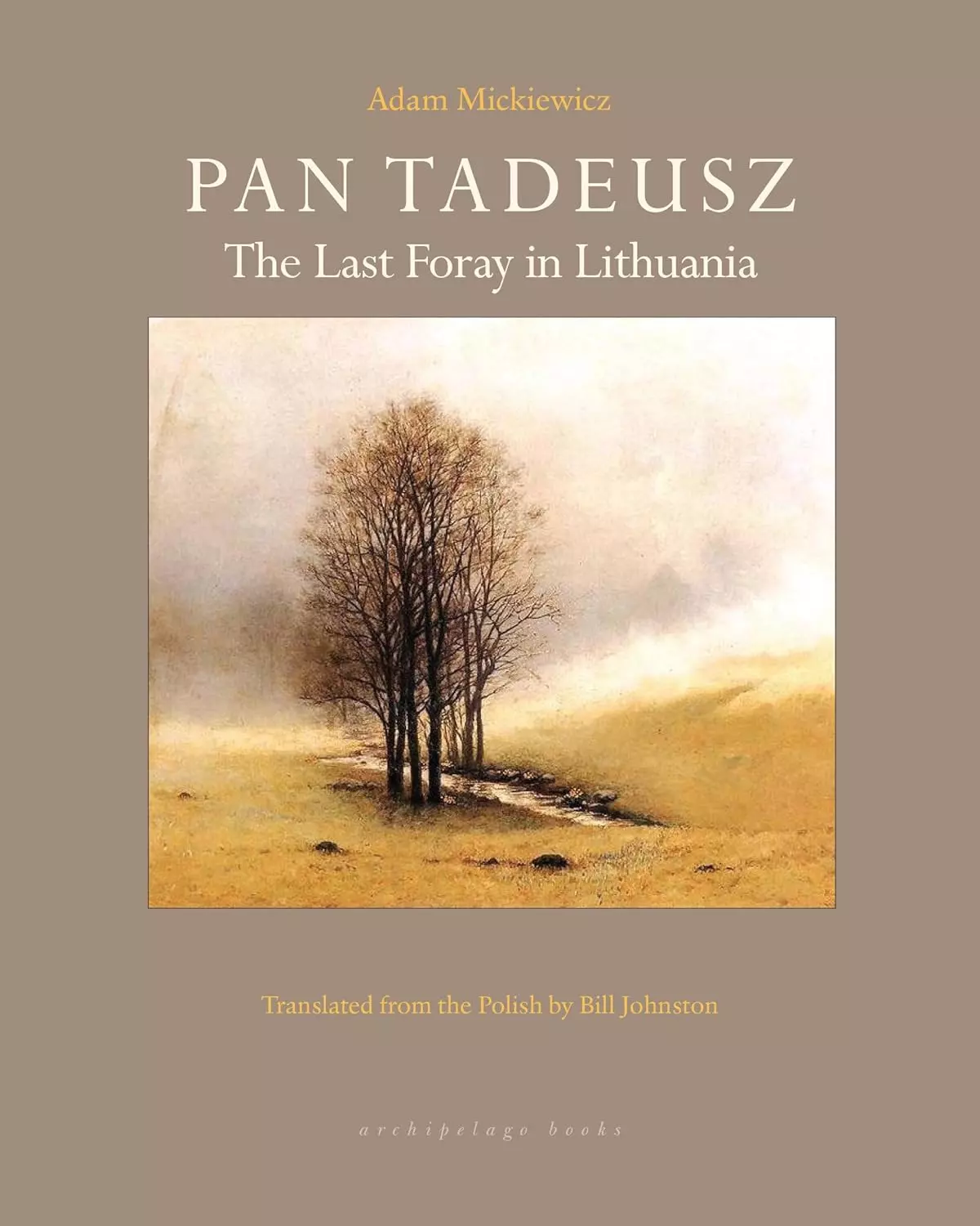 Pan Tadeusz - Książki