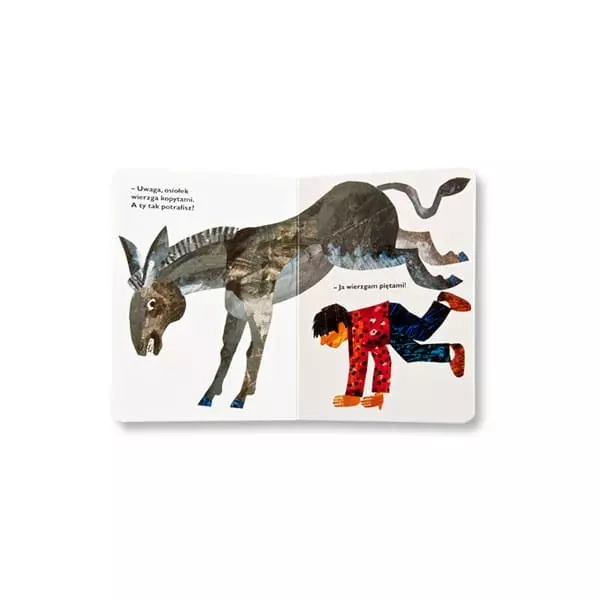 Od stóp do głów - Książki