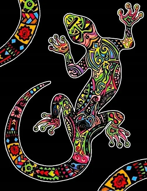 COLORVELVET kolorowanka welwetowa 47x35 cm GEKON - Książki