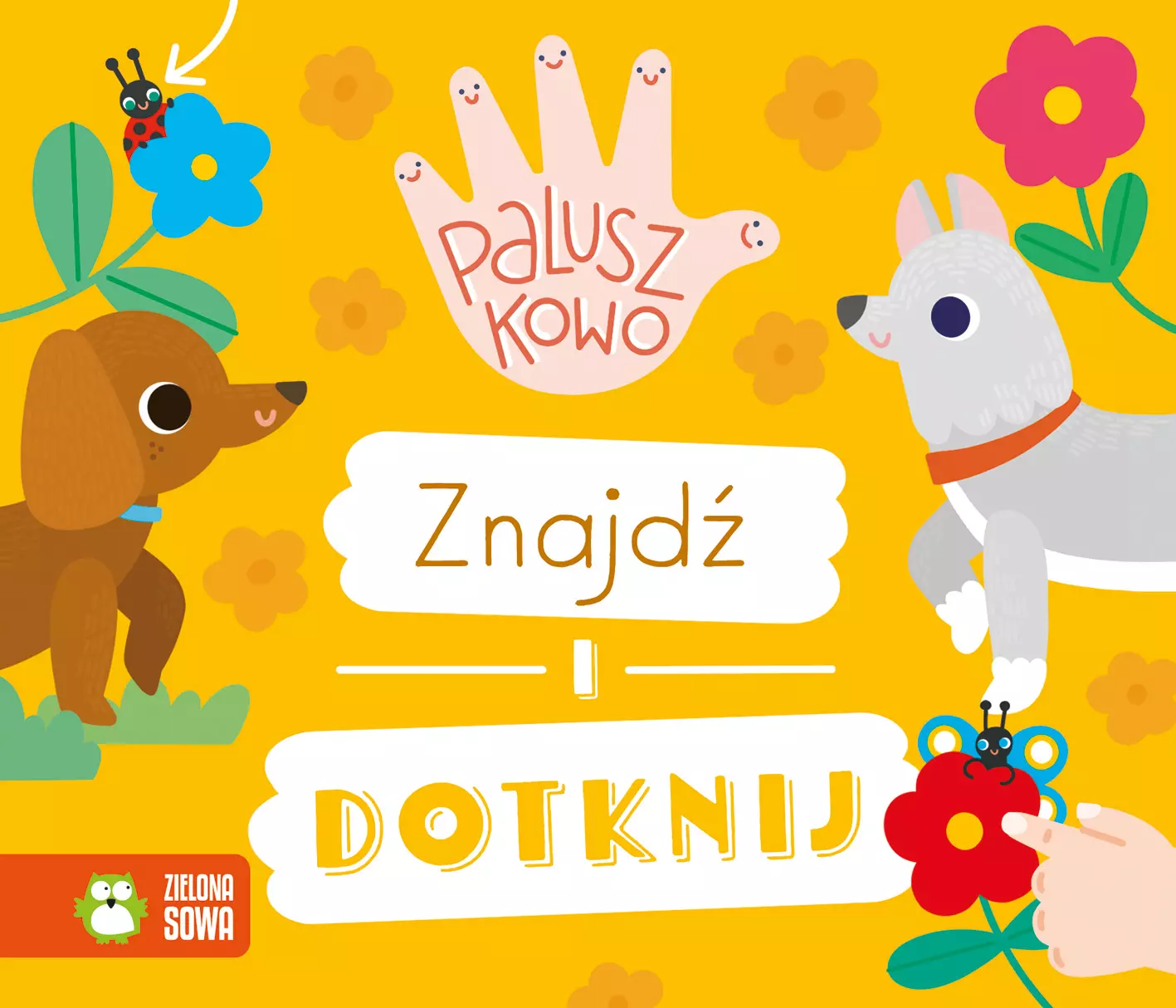 Paluszkowo. Znajdź i dotknij - Książki