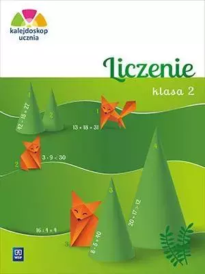 Kalejdoskop ucznia. Liczenie. Klasa 2, wydanie 2 - Książki