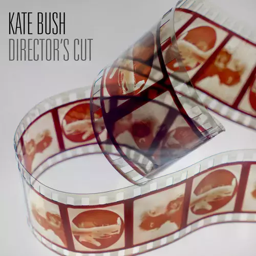 DIRECTOR?S CUT. Winyl - Muzyka