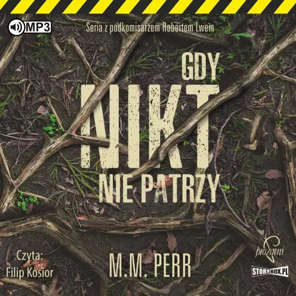 Podkomisarz Robert Lew. Tom 2. Gdy nikt nie patrzy. Audiobook - Audiobooki