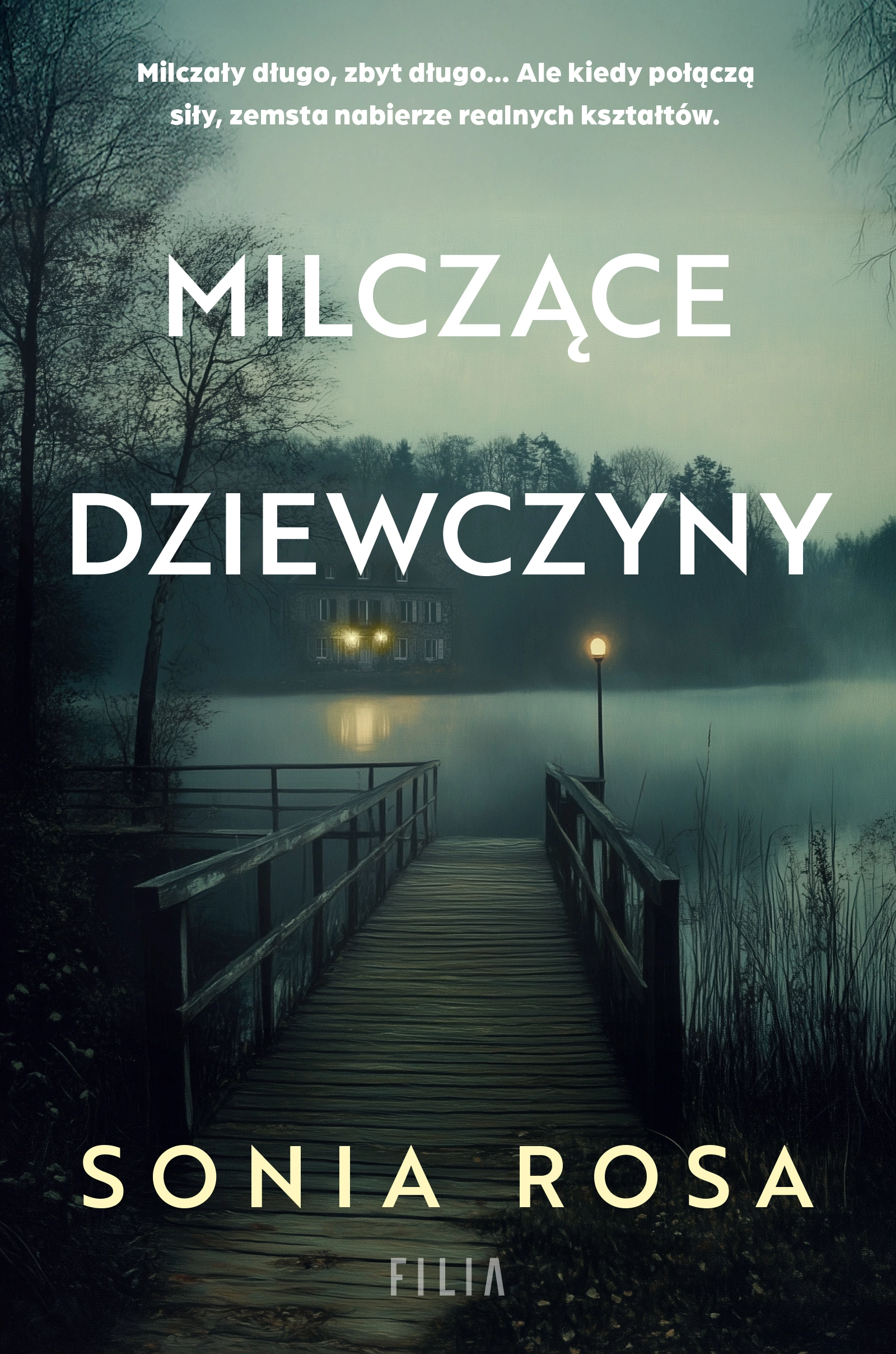 Milczące dziewczyny - Książki