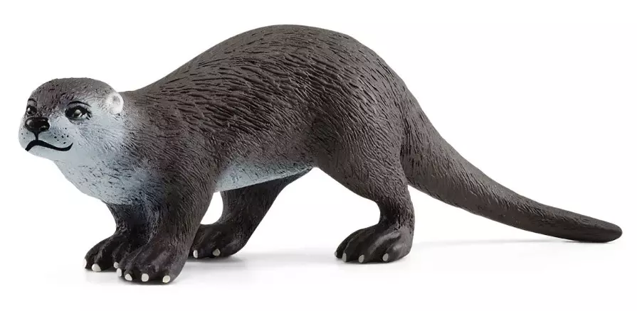 Wild Life. SLH14865. Wydra