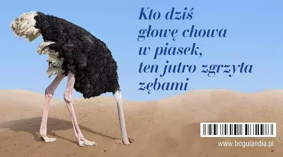 Magnes na lodówkę. Kto dziś głowę chowa w piasek... - Papiernicze i szkolne