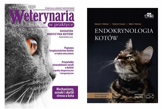 Endokrynologia kotów - Książki