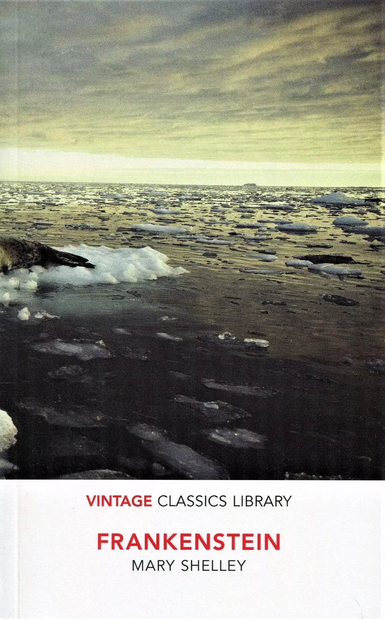 Frankenstein - Książki