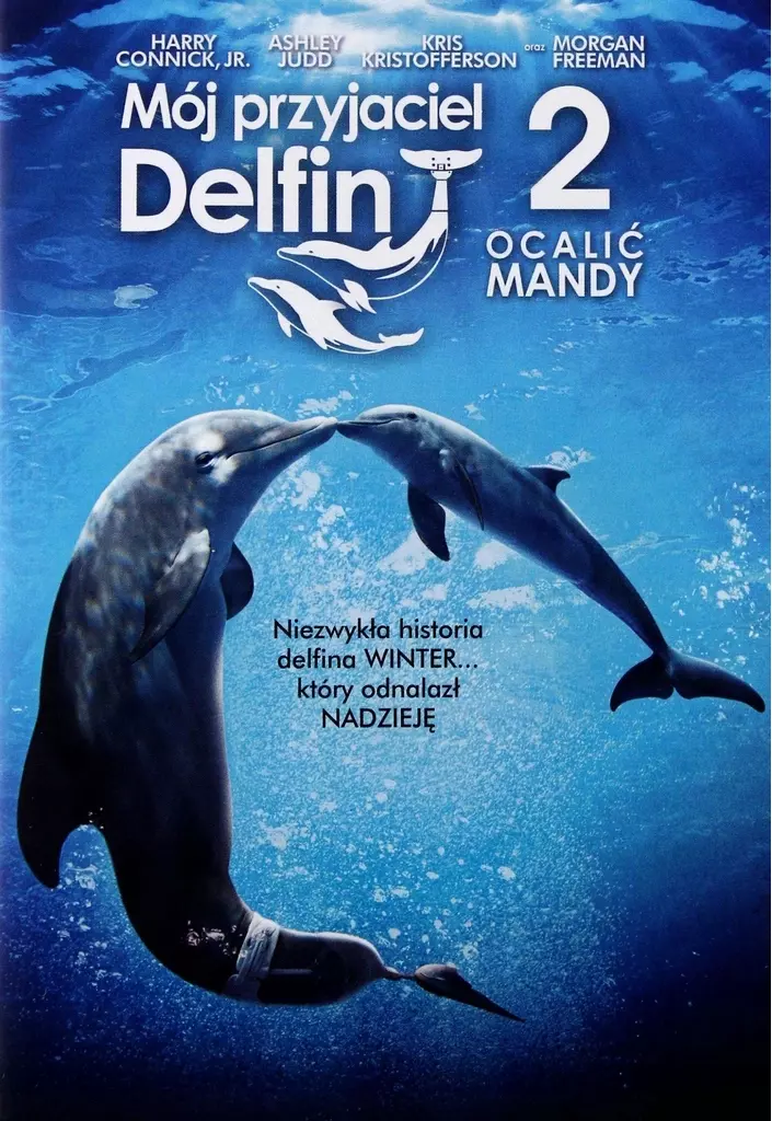 Mój przyjaciel Delfin 2: Ocalić Mandy, DVD - Filmy