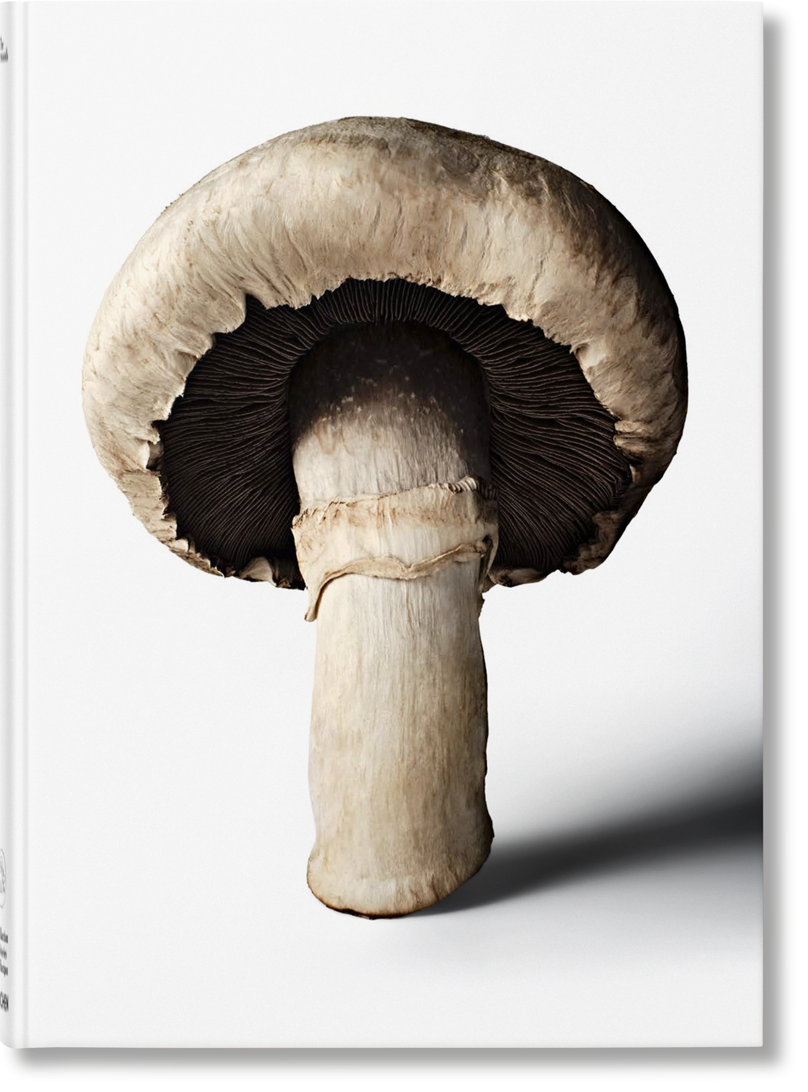 The Gourmand's Mushroom. A Collection of Stories & Recipes - Książki